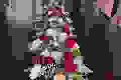 233714003_1256579584775093_5345461791731601866_n