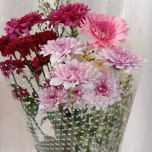 Mix Color Sheaf