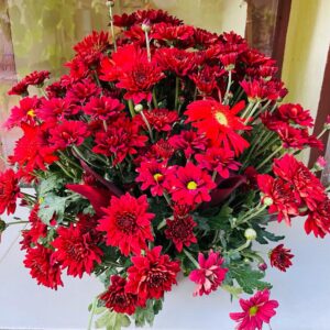 RED FLOWER POT